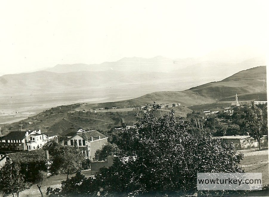 Stanley-Kerr-Lions-Of-Maras2