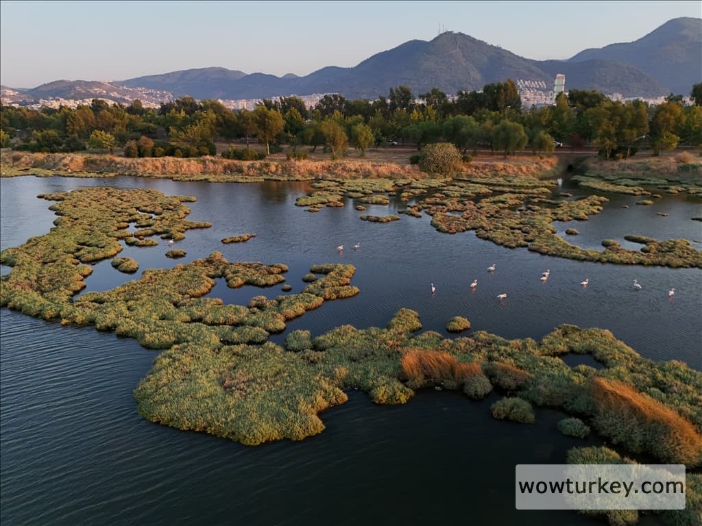 thumbs_b2_1b27962b9d7aba8deb55be904e90fb0e