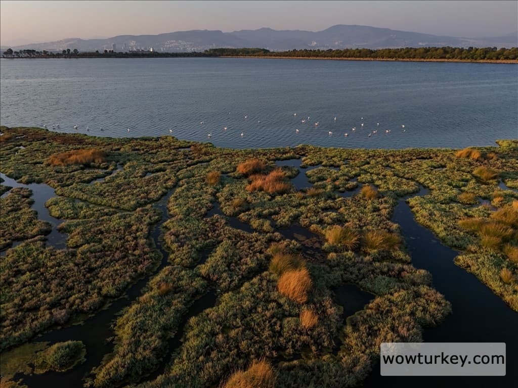 thumbs_b2_2900ca922eb7e960cb715f3b841aaec8