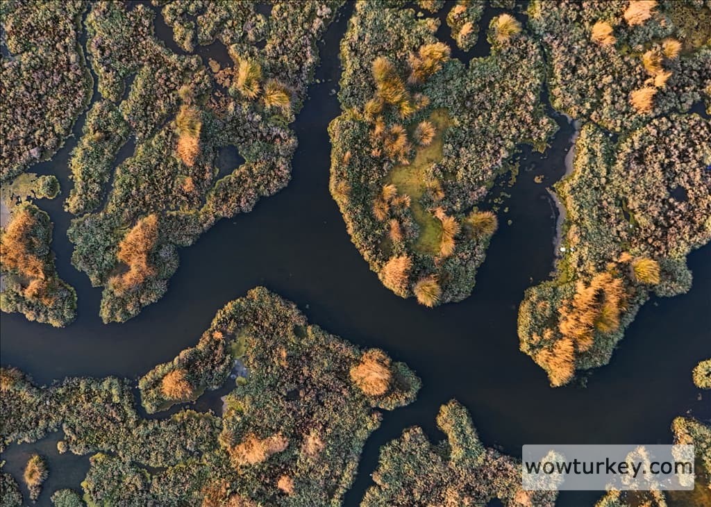 thumbs_b2_45216076f5857fd3eb23f4b55cc6dbf5