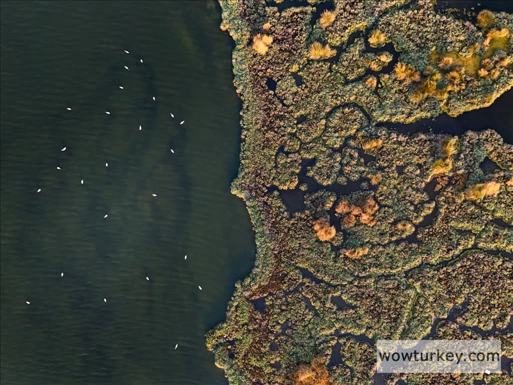 thumbs_b2_4b7f04ef2bf5bce84034d605040f6a18