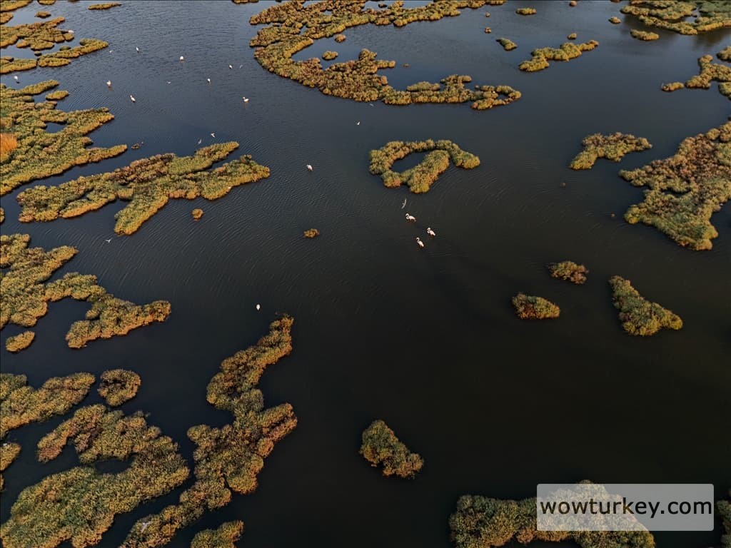 thumbs_b2_6a314be16deddc2ce7bbc97001fd83e4