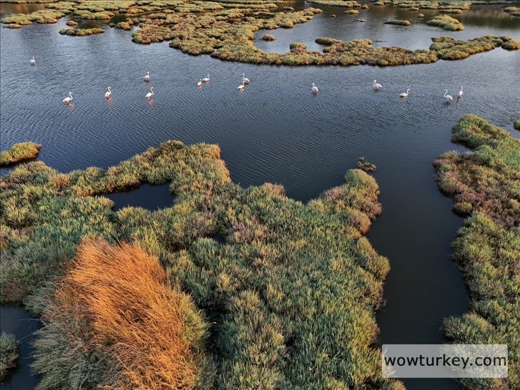 thumbs_b2_6b6e84e82970e530d17d8dcc63477d86