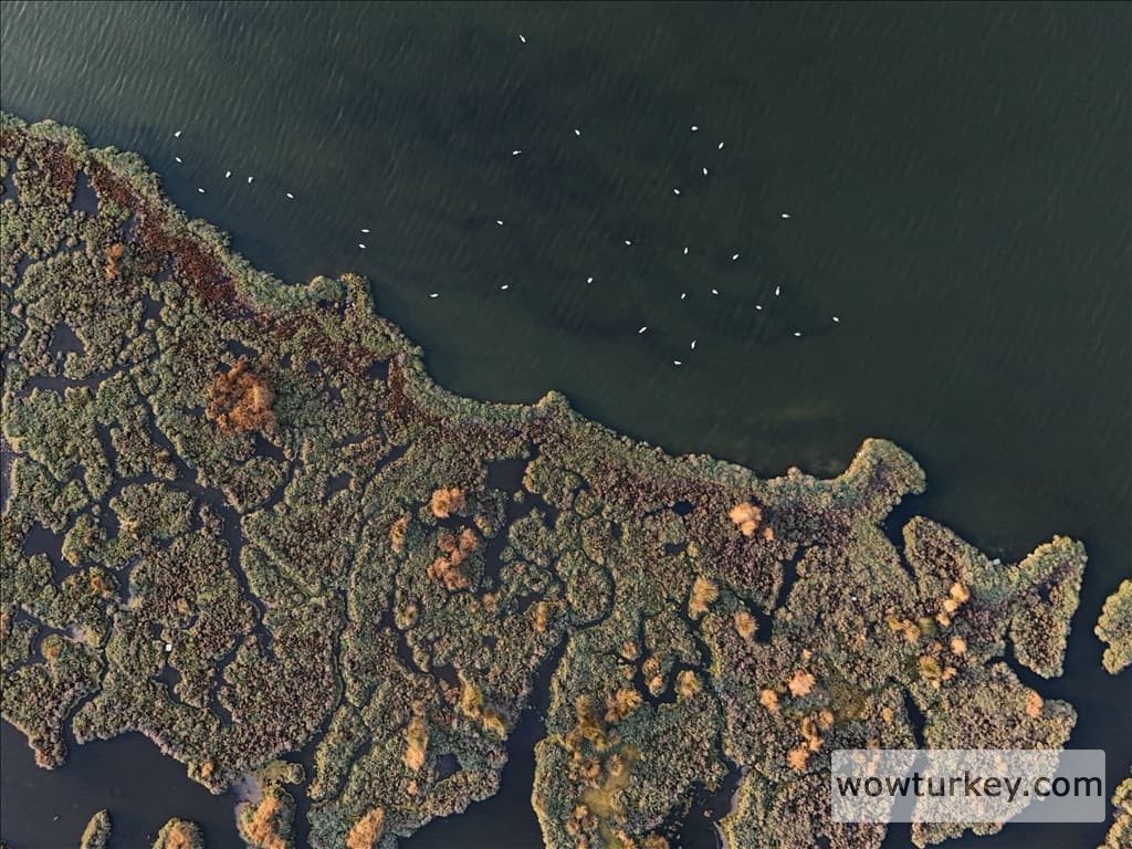 thumbs_b2_8881471d40ef10b725feb50e74ad6680