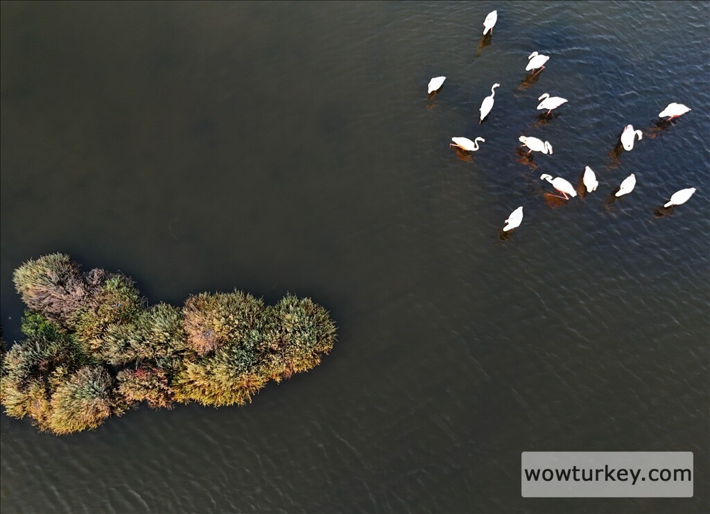 thumbs_b2_942009f63e149d34c1fb5e2b10274fd3