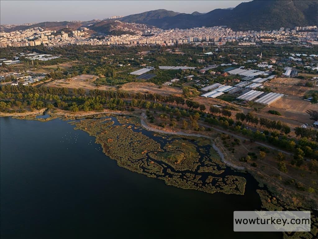 thumbs_b2_ac5e8e76195c0ff172c02827cd70ff91