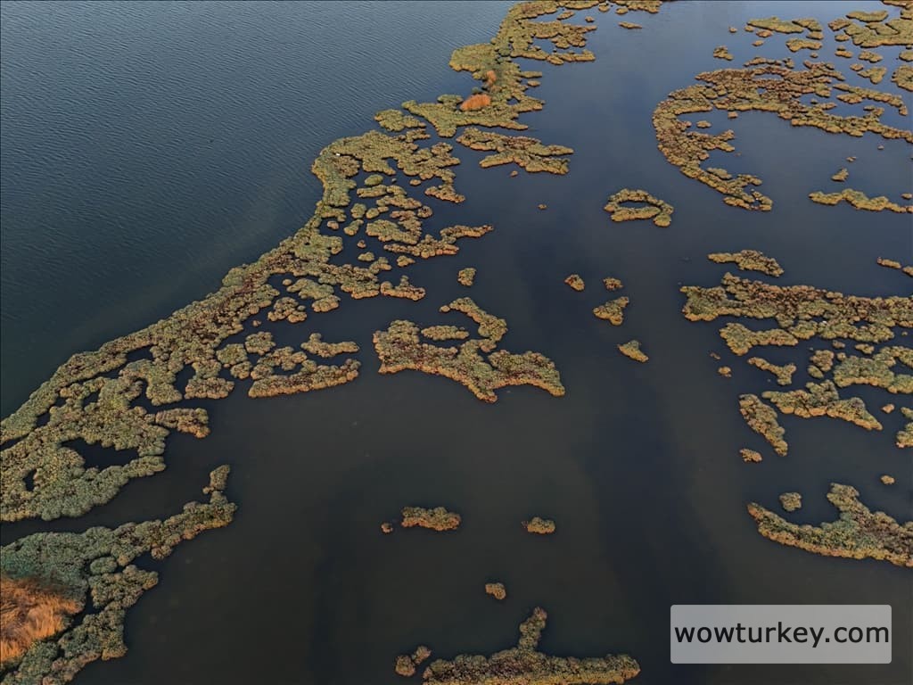 thumbs_b2_b22ddf14e96dbc279135189a54b9bdd8