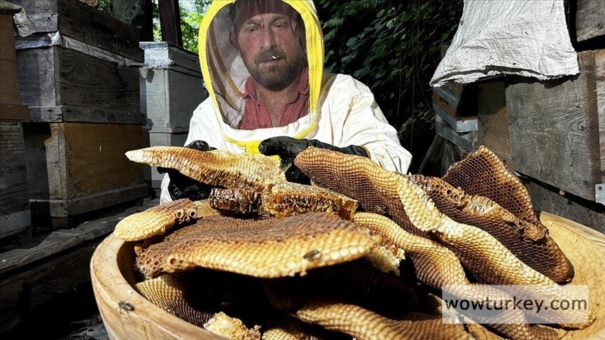 thumbs_b_c_037b7d0cc4eb28a01711f5635892d28c