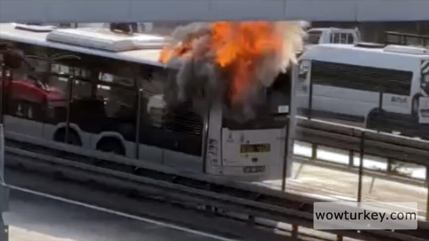 thumbs_b_c_32cb6cc3fe5e034da8508298d54b5b03