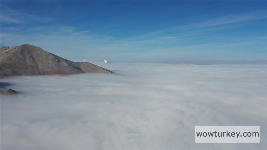 thumbs_b_c_49638f88550093df51f53c0ca3527496