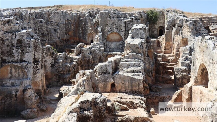 thumbs_b_c_e39a64a87f8a0211dca1d303b267a048