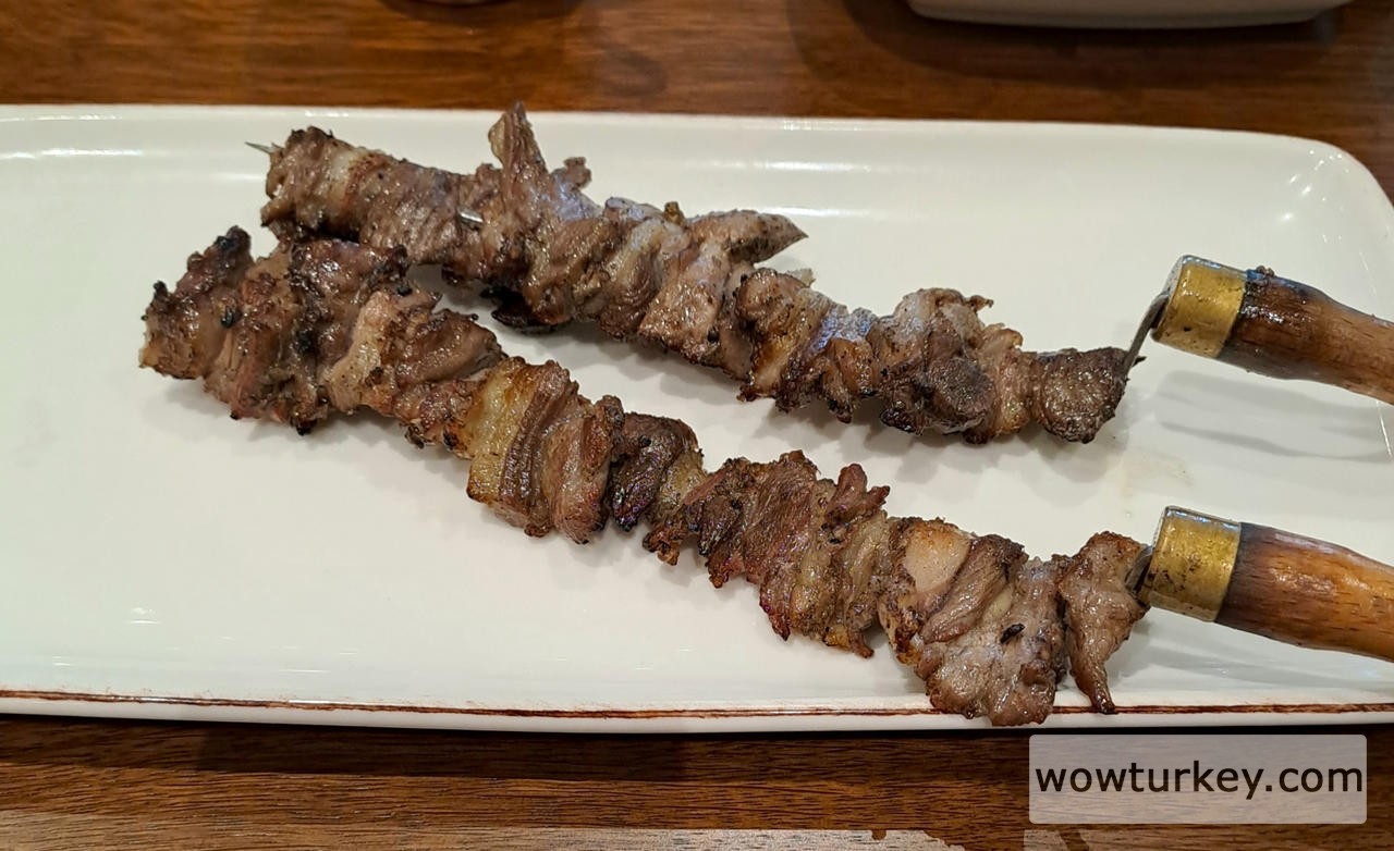 turkish_kebap_by_galopper_dgqo5te-fullview (1).jpg