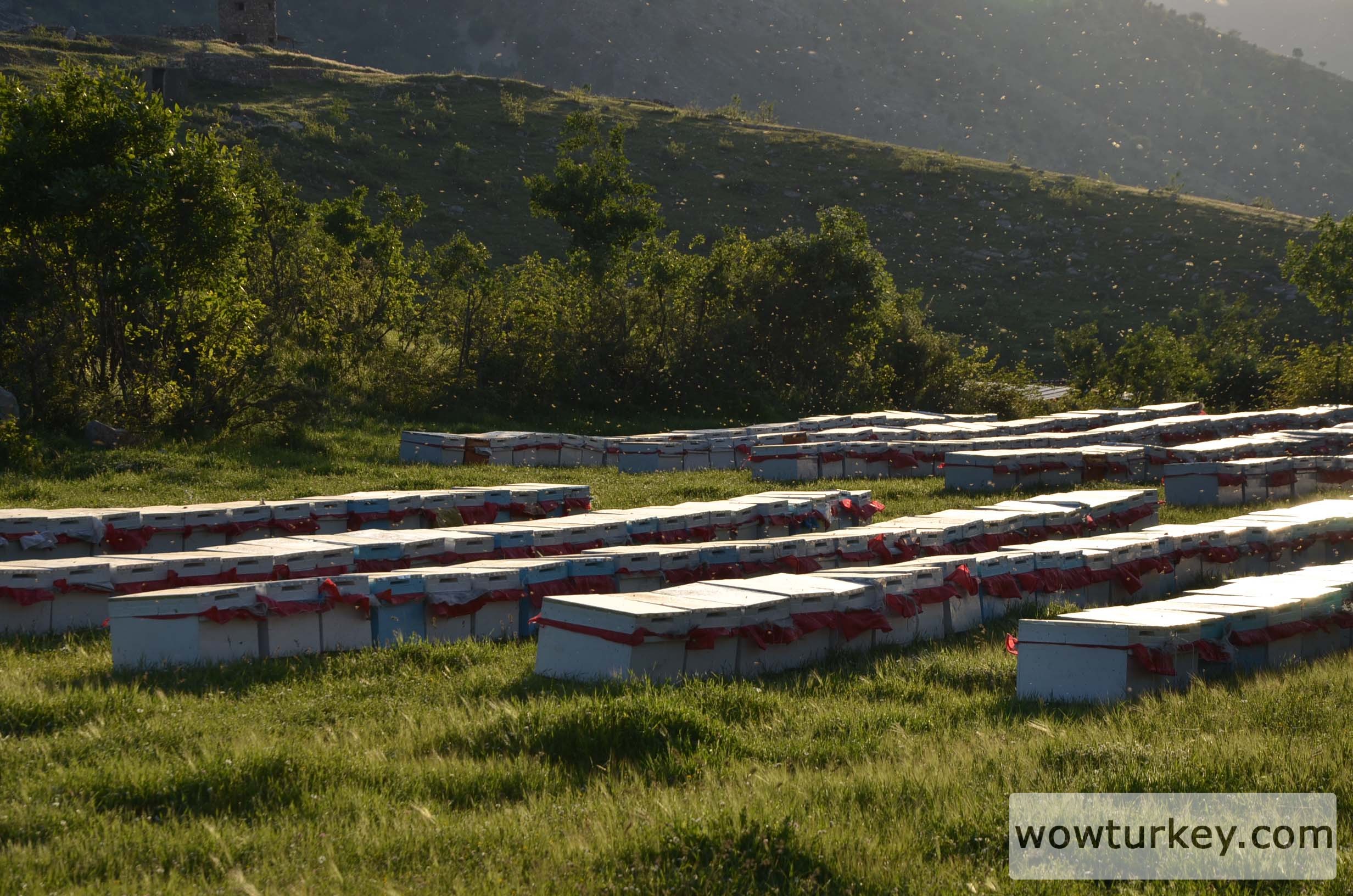 uluderede-ekonomik-yapi-13