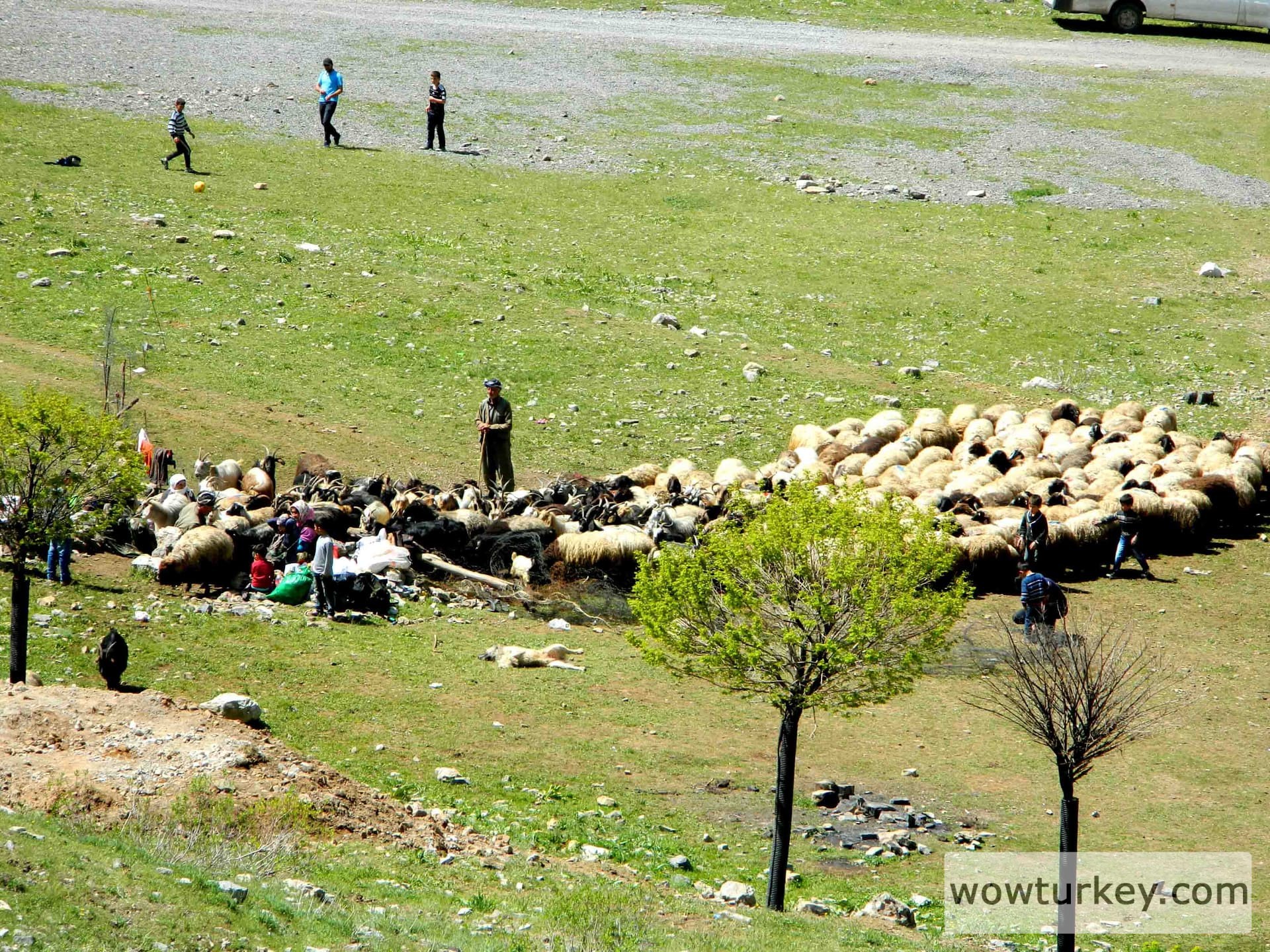 uluderede-ekonomik-yapi-7