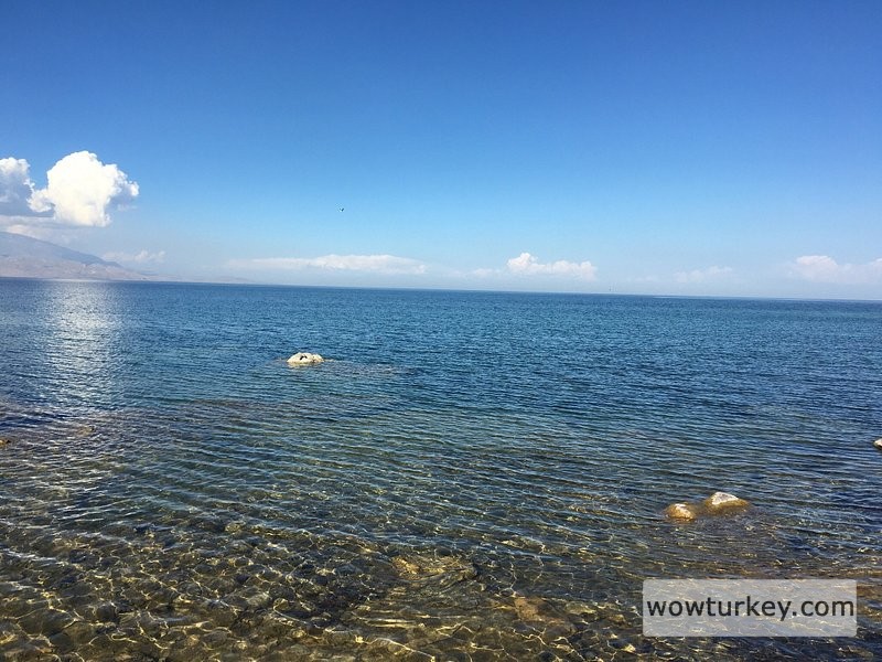 van-golu-tek-kelimeyle