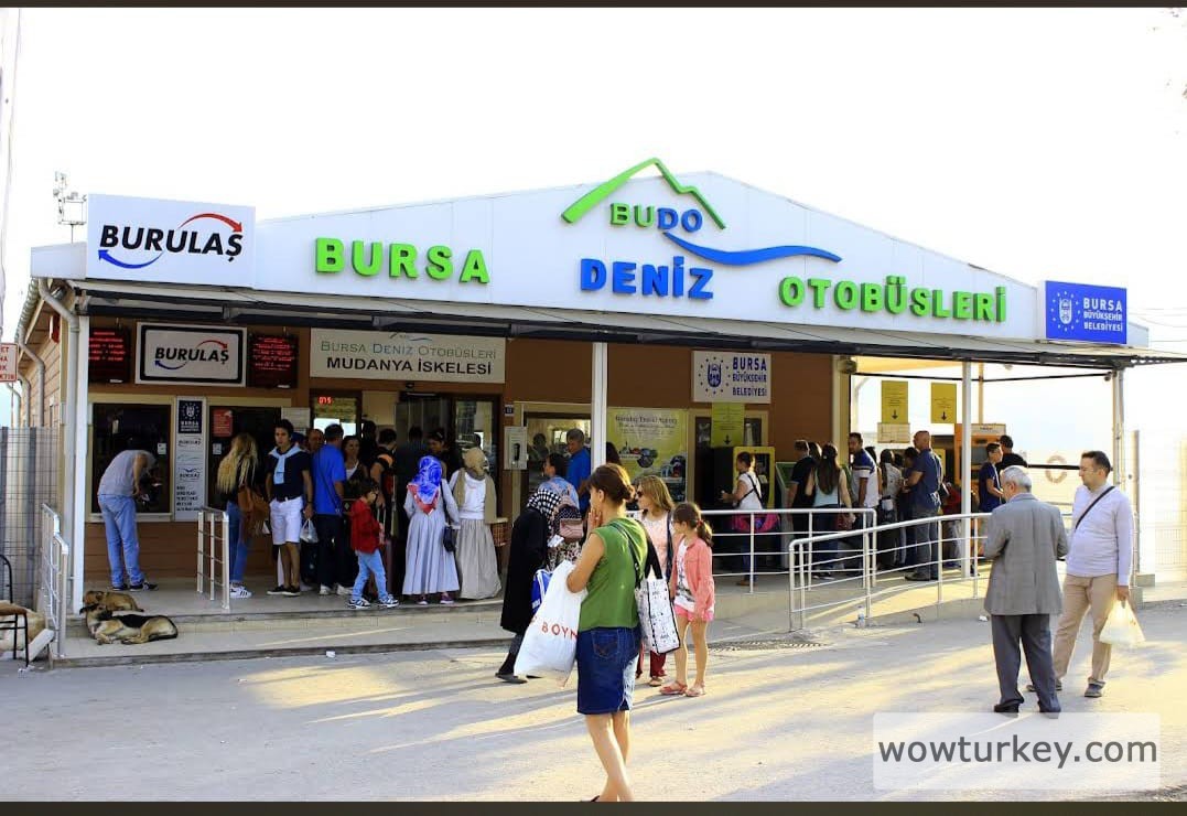 WhatsApp Görsel 2024-10-12 saat 23.14.35_2943ff98.jpg