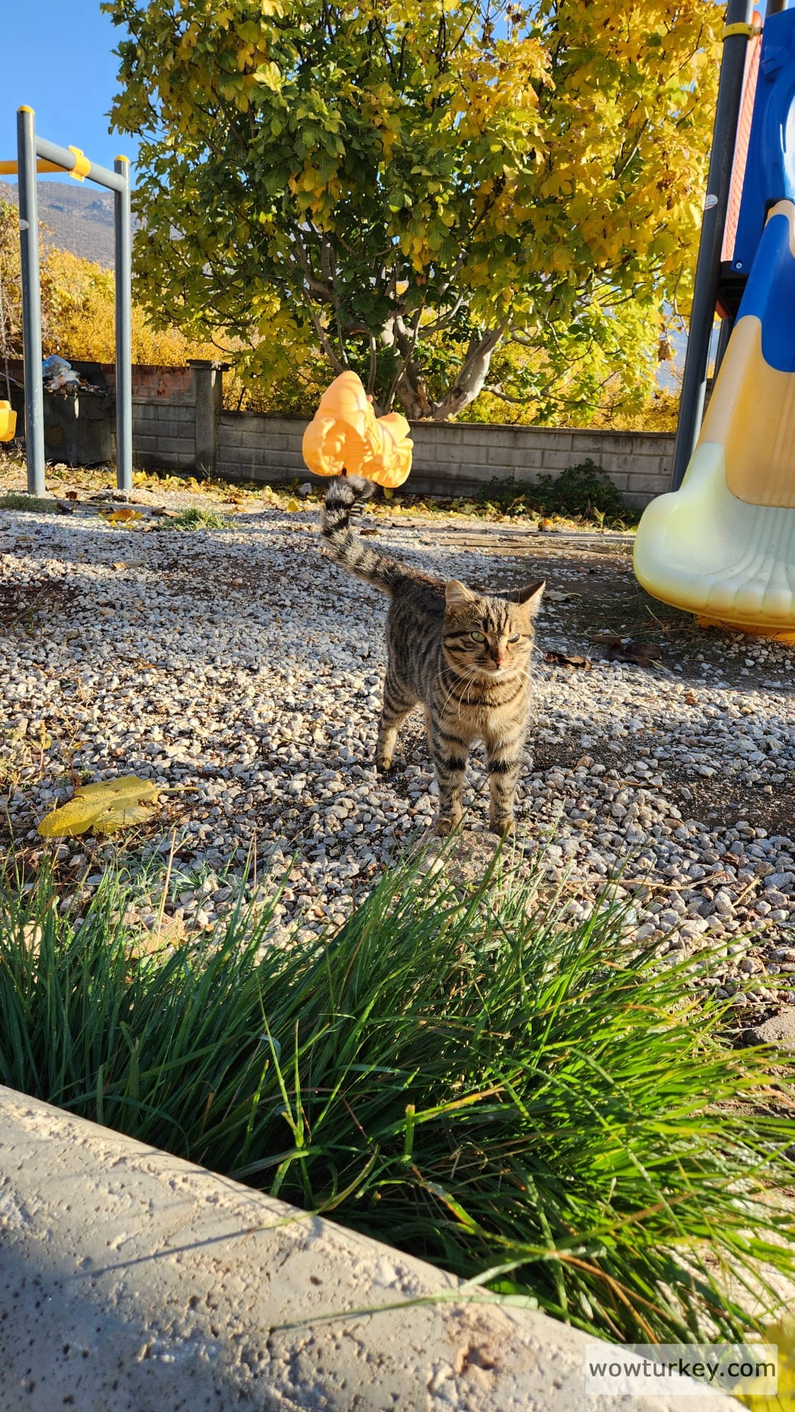 WhatsApp Görsel 2025-12-01 saat 19.25.09_04841365.jpg