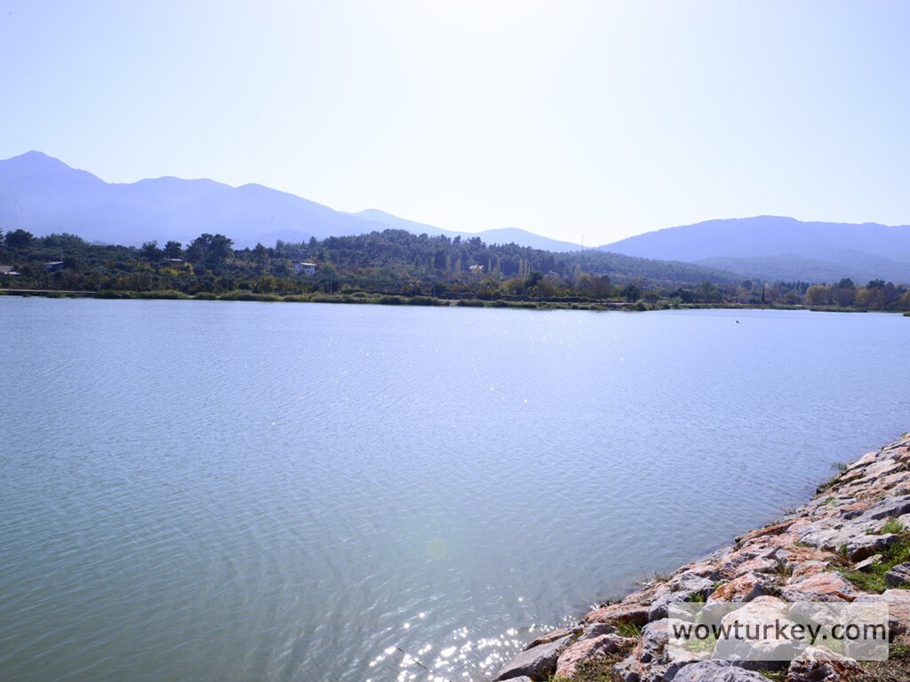 whatsapp-image-2019-11-18-at-09_6695-2323