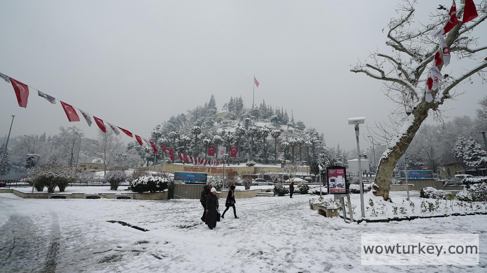 whatsapp-image-2021-05-28-at-18-47-57-1