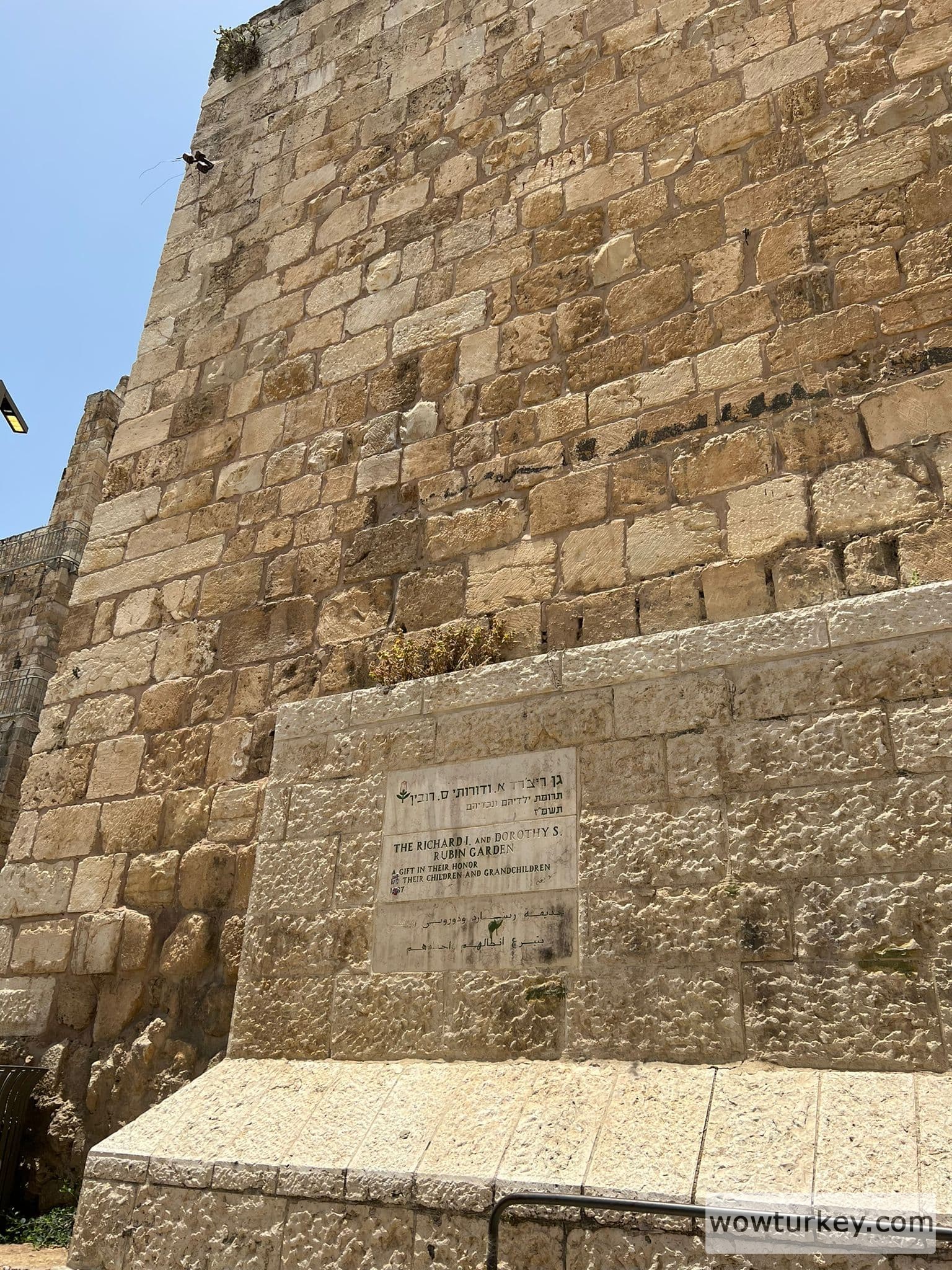 WhatsApp Image 2022-06-15 at 21.10.58 İngiliz kralı Richard bahçesi