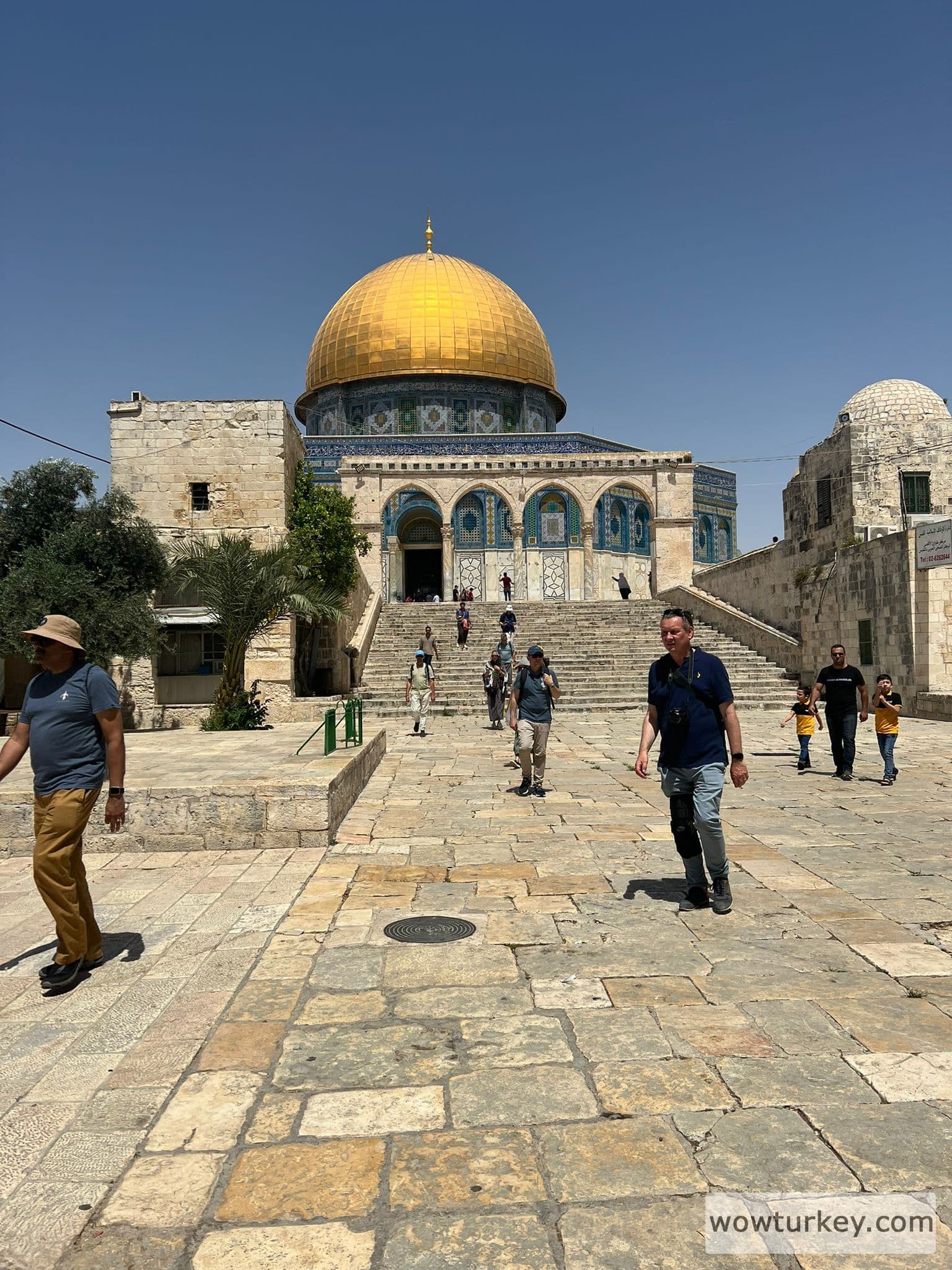 WhatsApp Image 2022-06-15 at 21.11.36