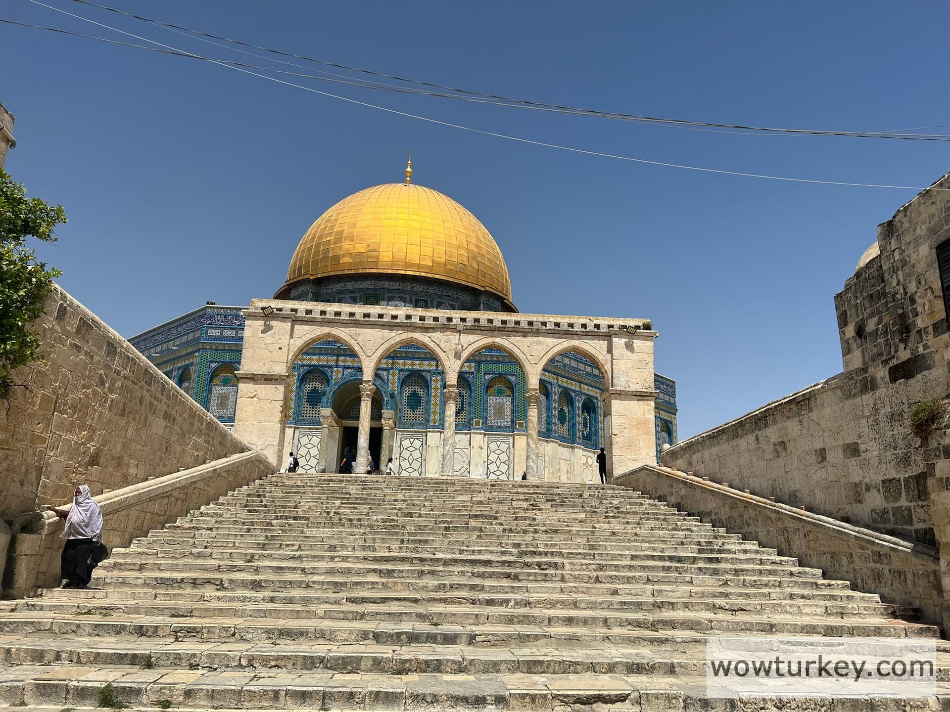 WhatsApp Image 2022-06-15 at 21.11.54