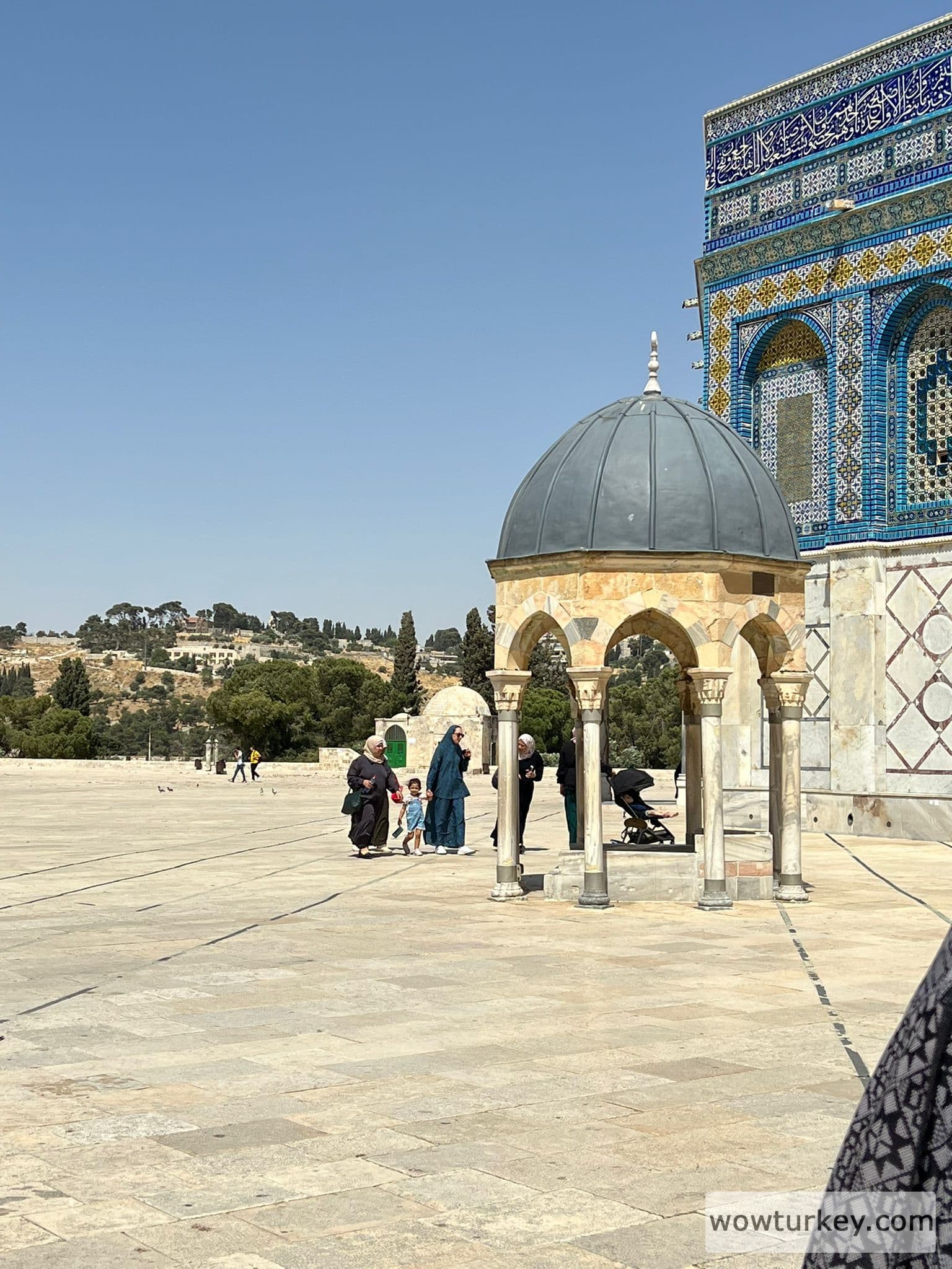 WhatsApp Image 2022-06-15 at 21.12.08 (1)