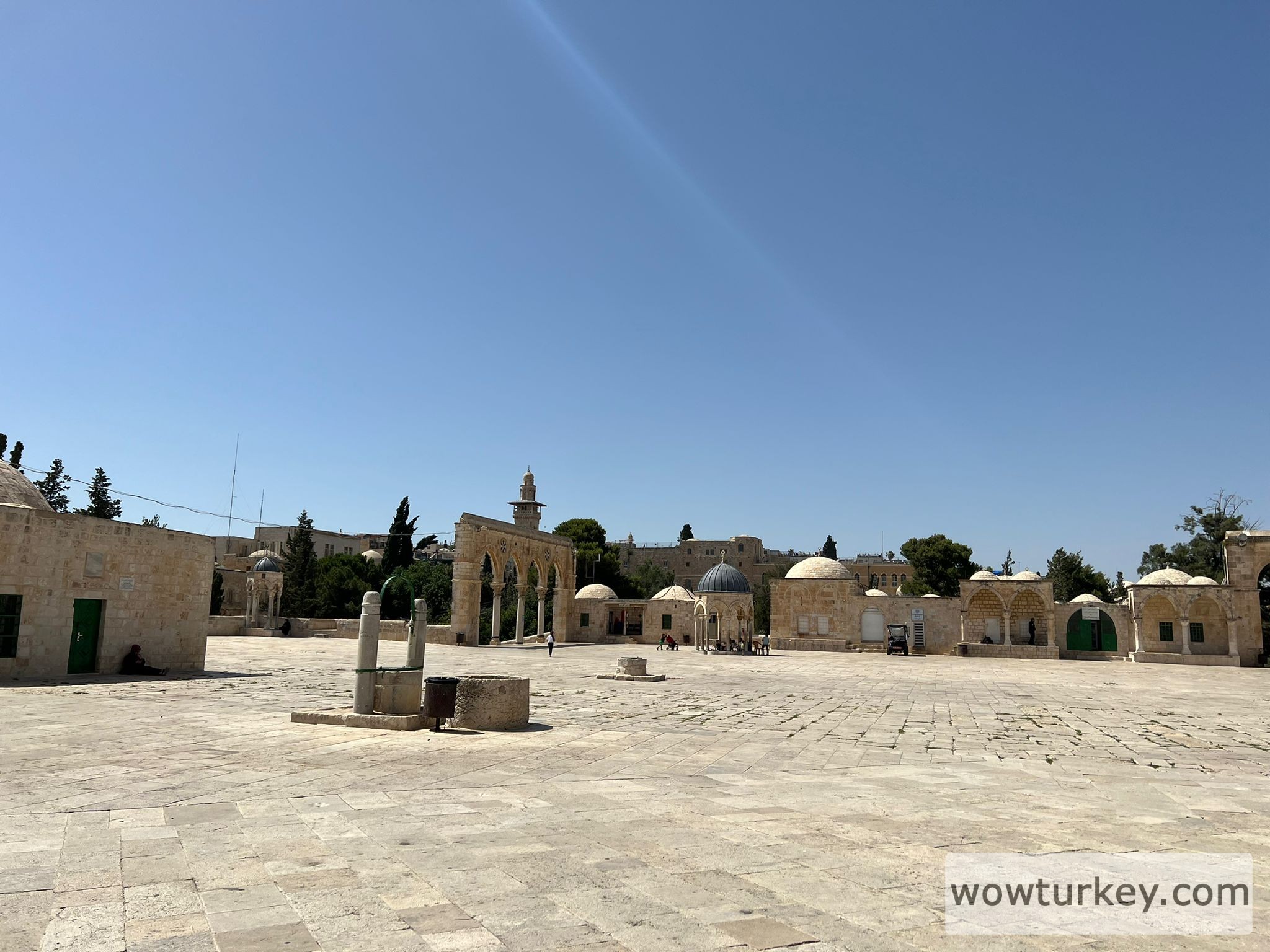 WhatsApp Image 2022-06-15 at 21.12.08 (3)