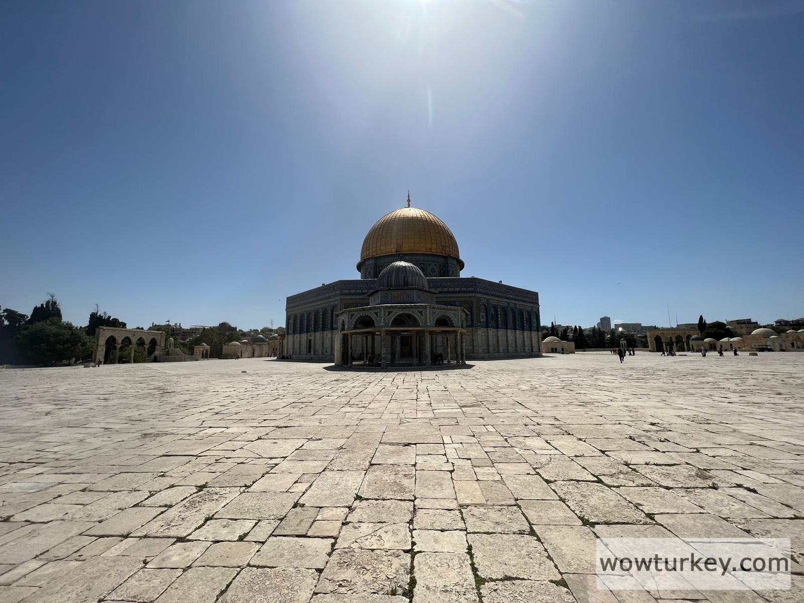 WhatsApp Image 2022-06-15 at 21.13.12 (1)