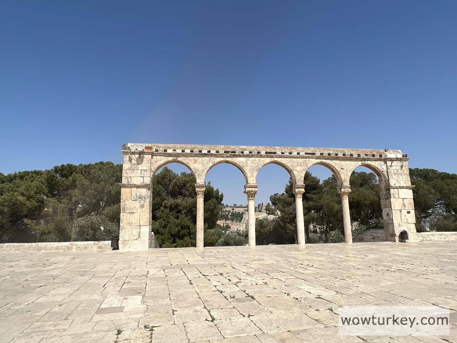 WhatsApp Image 2022-06-15 at 21.13.12