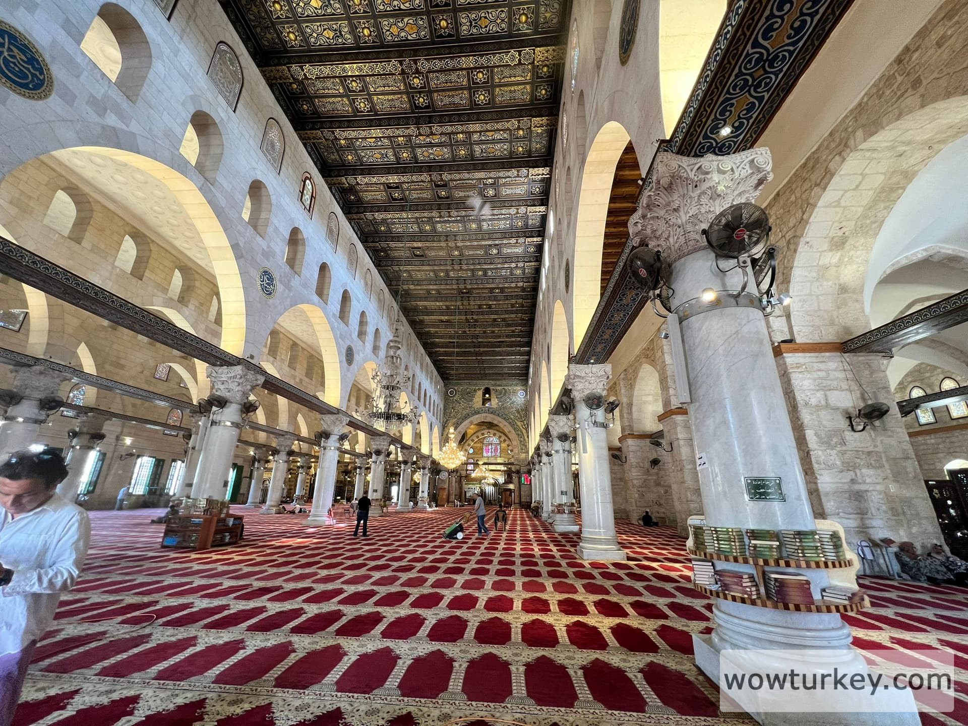 WhatsApp Image 2022-06-15 at 21.13.33 (1)