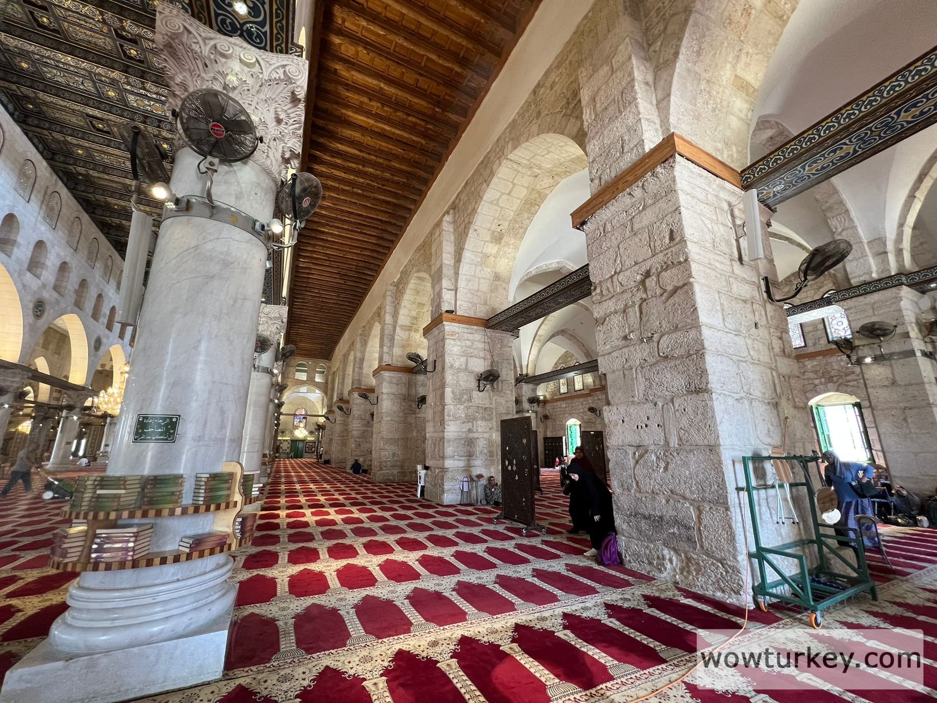 WhatsApp Image 2022-06-15 at 21.13.33