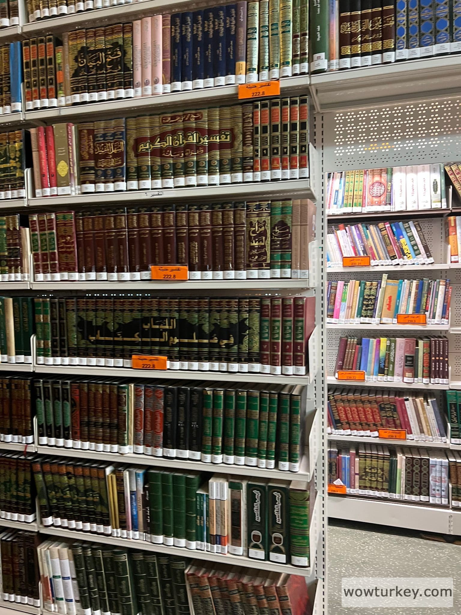 WhatsApp Image 2022-06-15 at 21.13.47