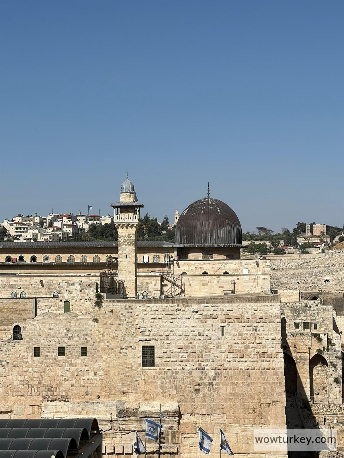 WhatsApp Image 2022-06-15 at 21.16.33 (2)