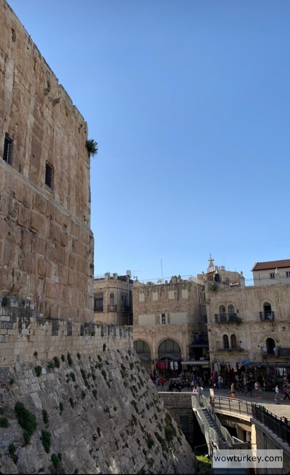 WhatsApp Image 2022-06-15 at 21.16.40 (1)