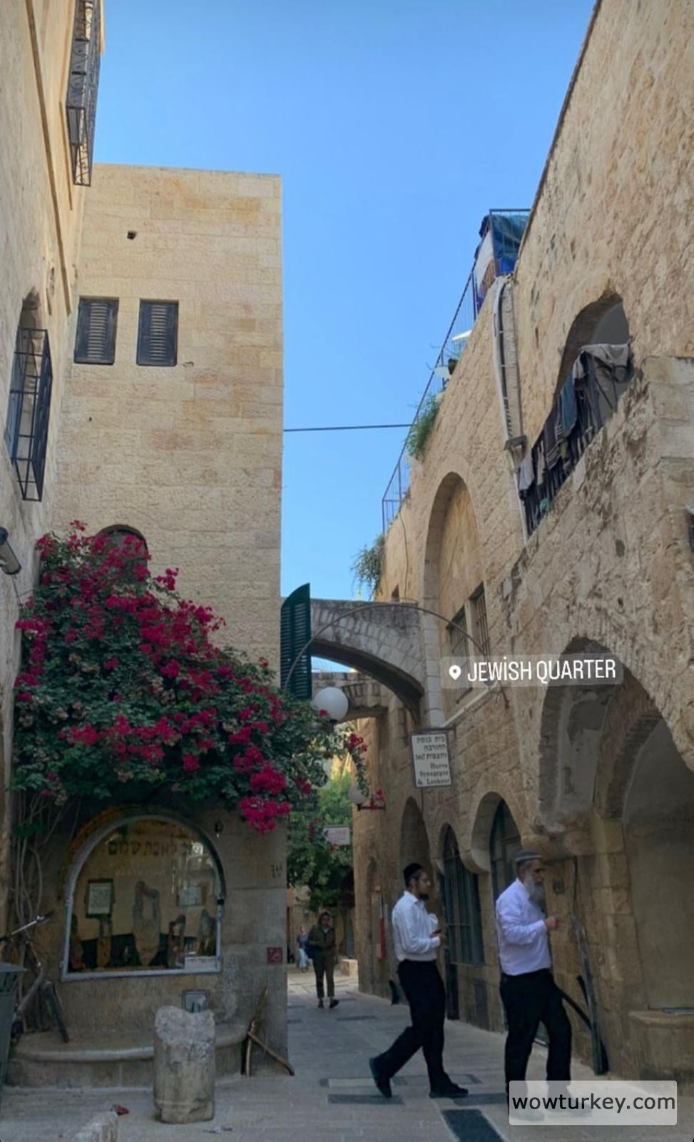 WhatsApp Image 2022-06-15 at 21.16.40