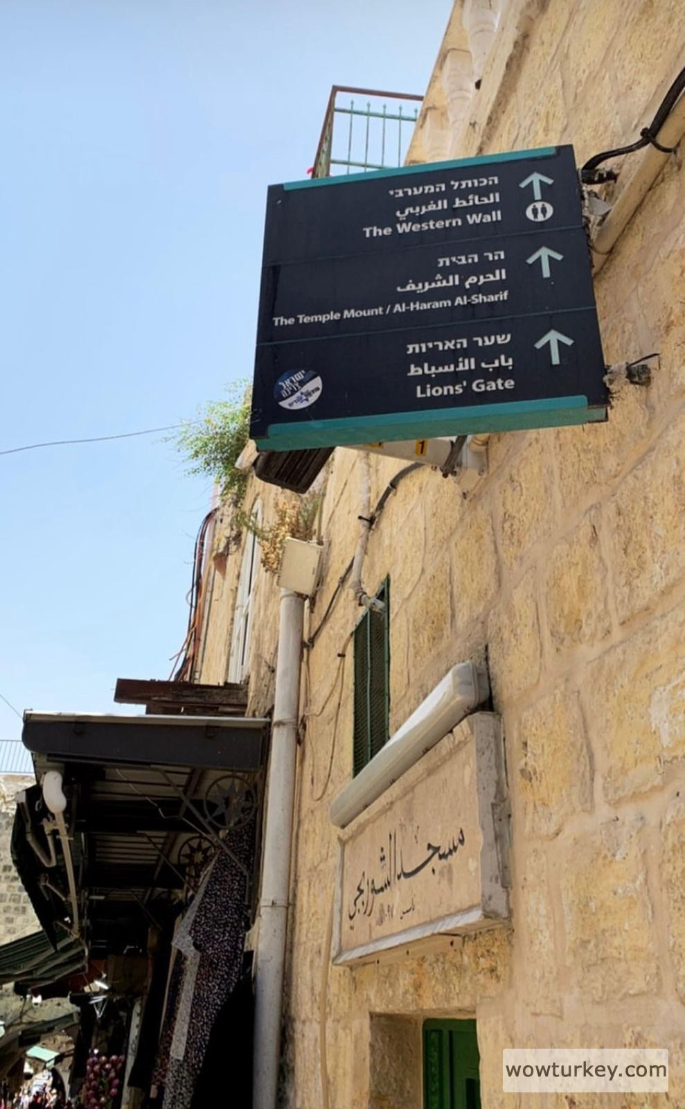 WhatsApp Image 2022-06-15 at 21.16.41 (1)