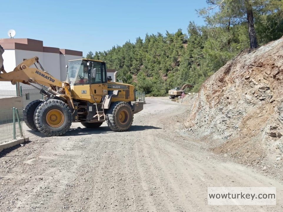 Image-2024-08-26-at-11.31.49