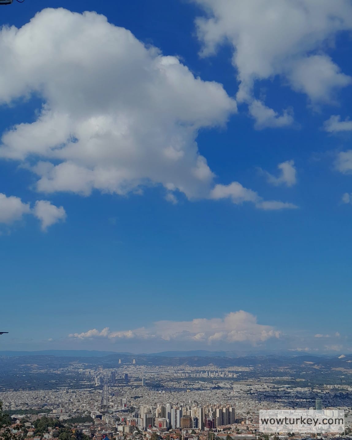 WhatsApp Image 2024-08-30 at 19.48.37