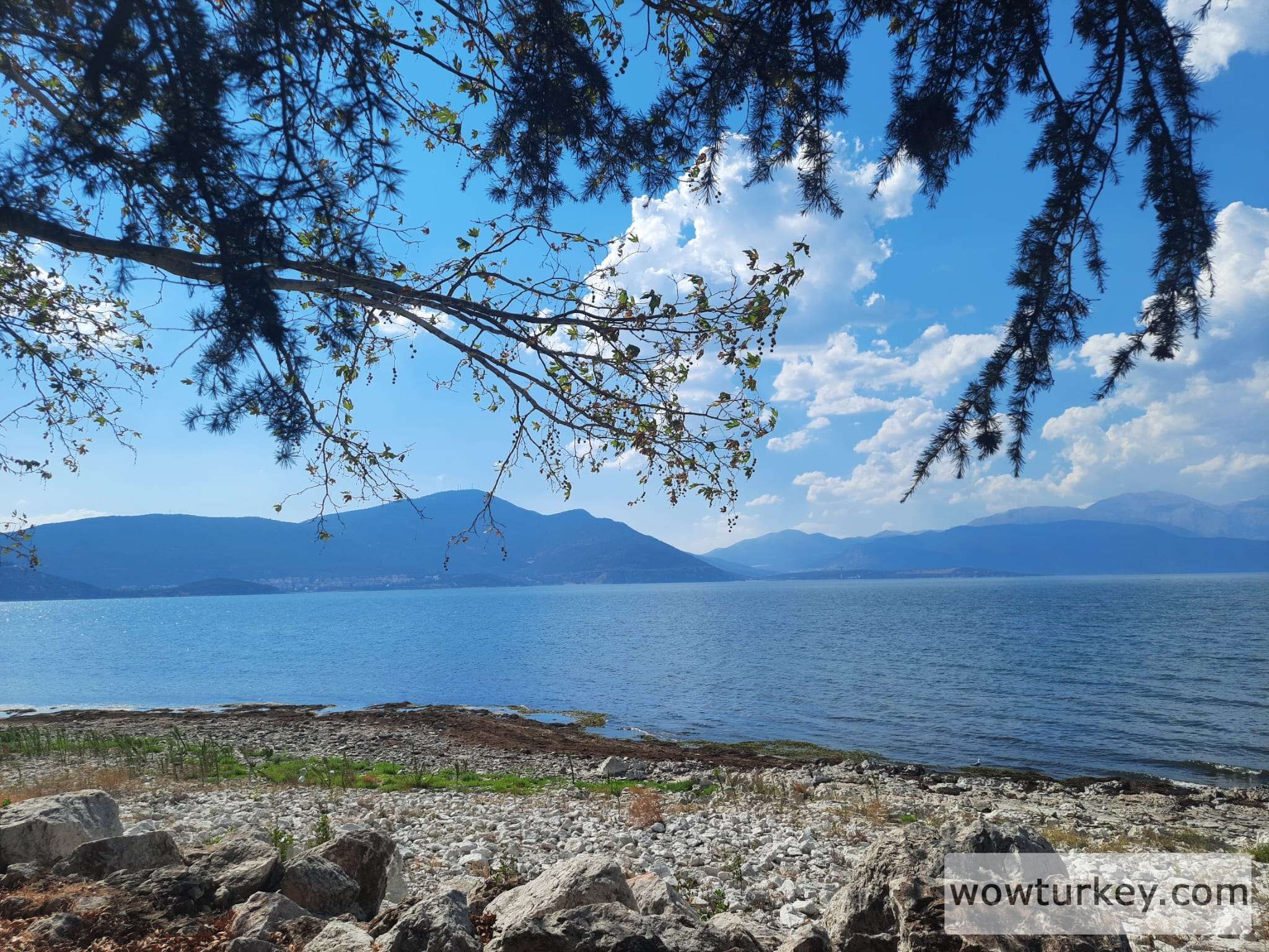 WhatsApp Image 2025-04-14 at 12.49.57 (1).jpeg