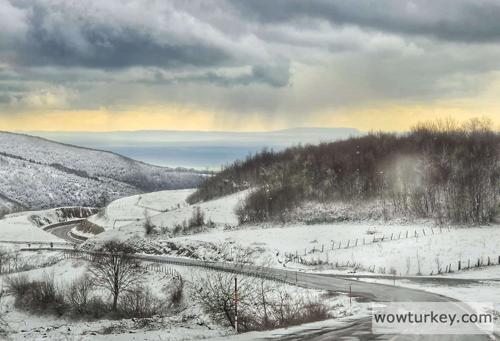 WhatsApp Image 2025-04-14 at 14.44.48 (1) (1).jpeg