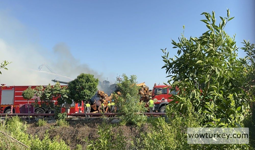 x9-0tFSPhkOMCnmKfDHpDg