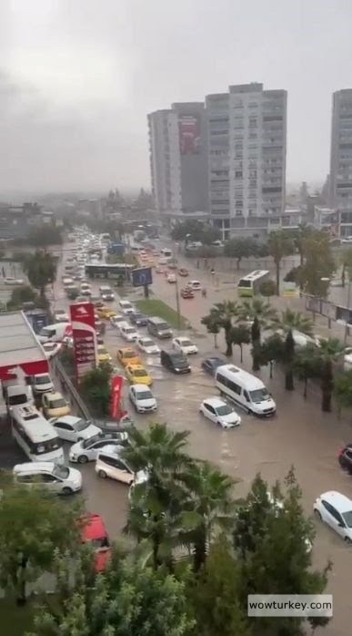 xe-gDtD-KUaFyR9dixAF4A