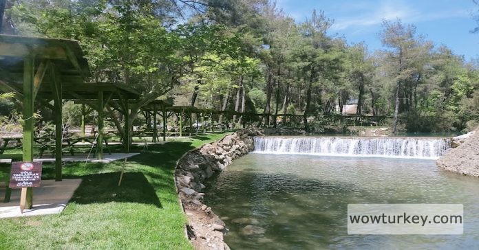 yedigoze-orman-parki-wowturkey
