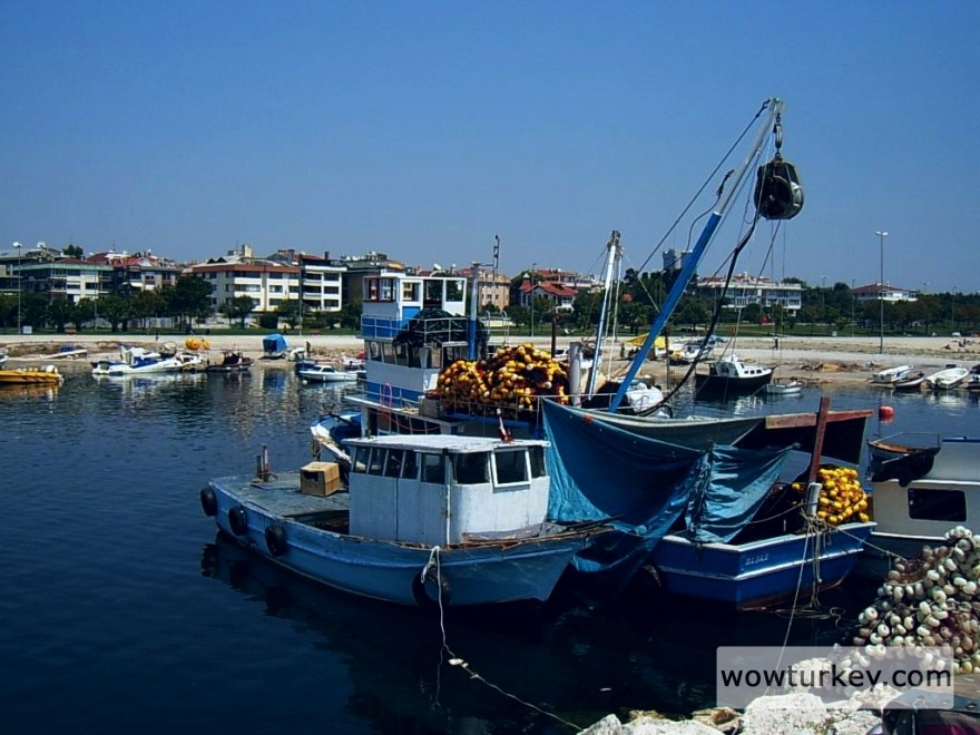 1805295705_26adedaa1e_o (1).jpg