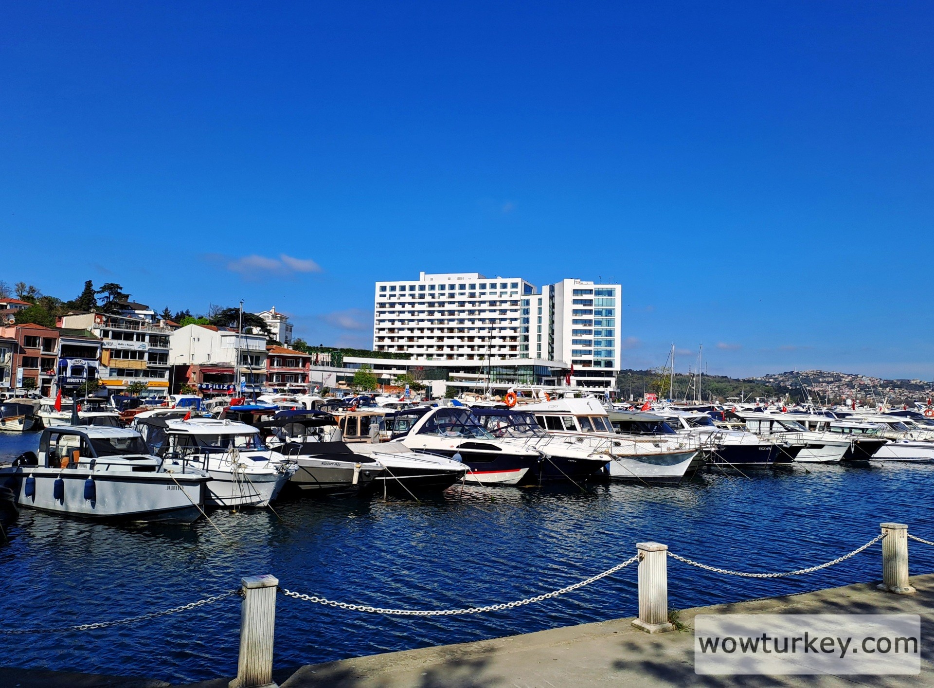 20240410_160520 (1).jpg