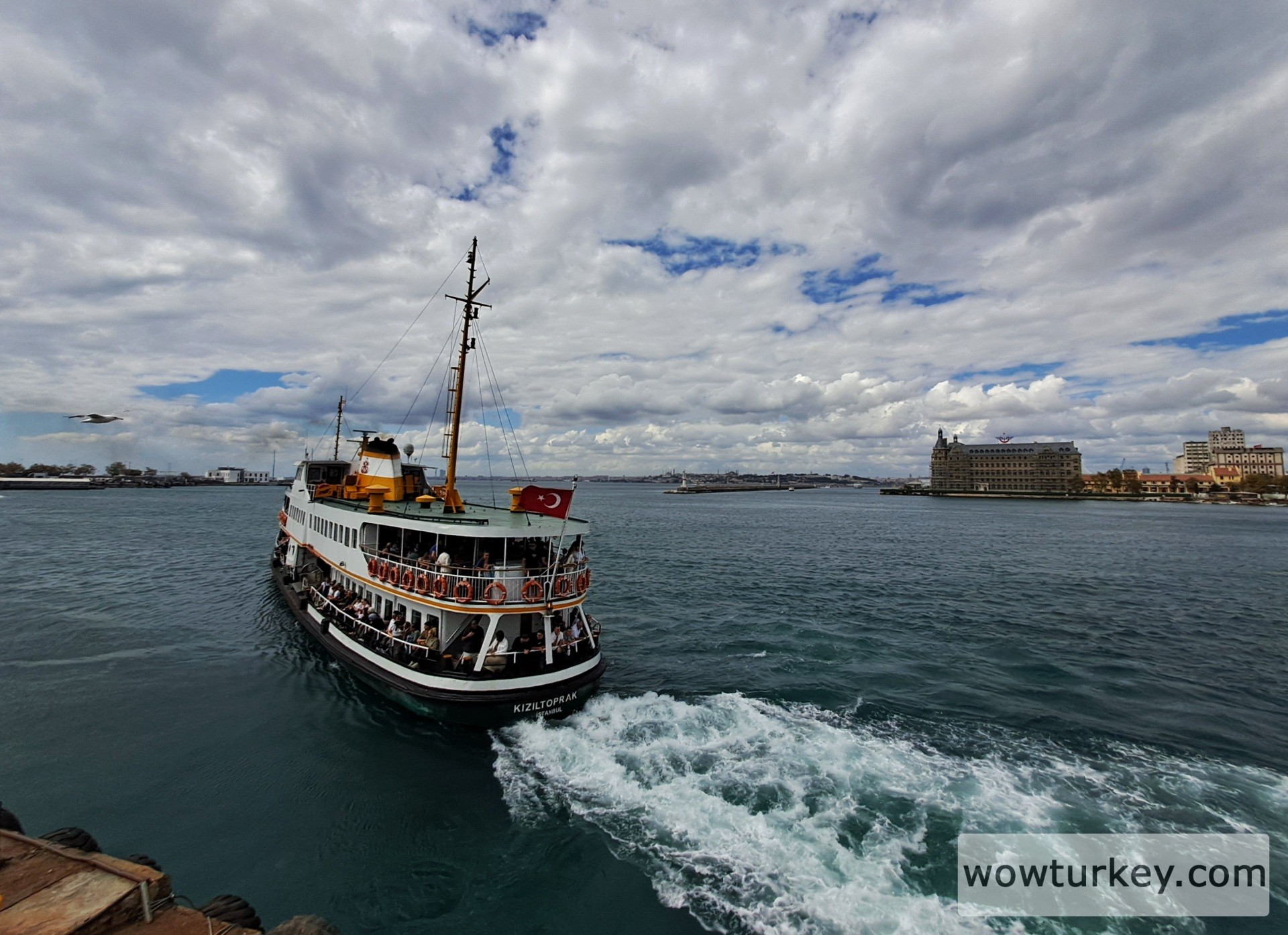 20250913_130158 (1).jpg