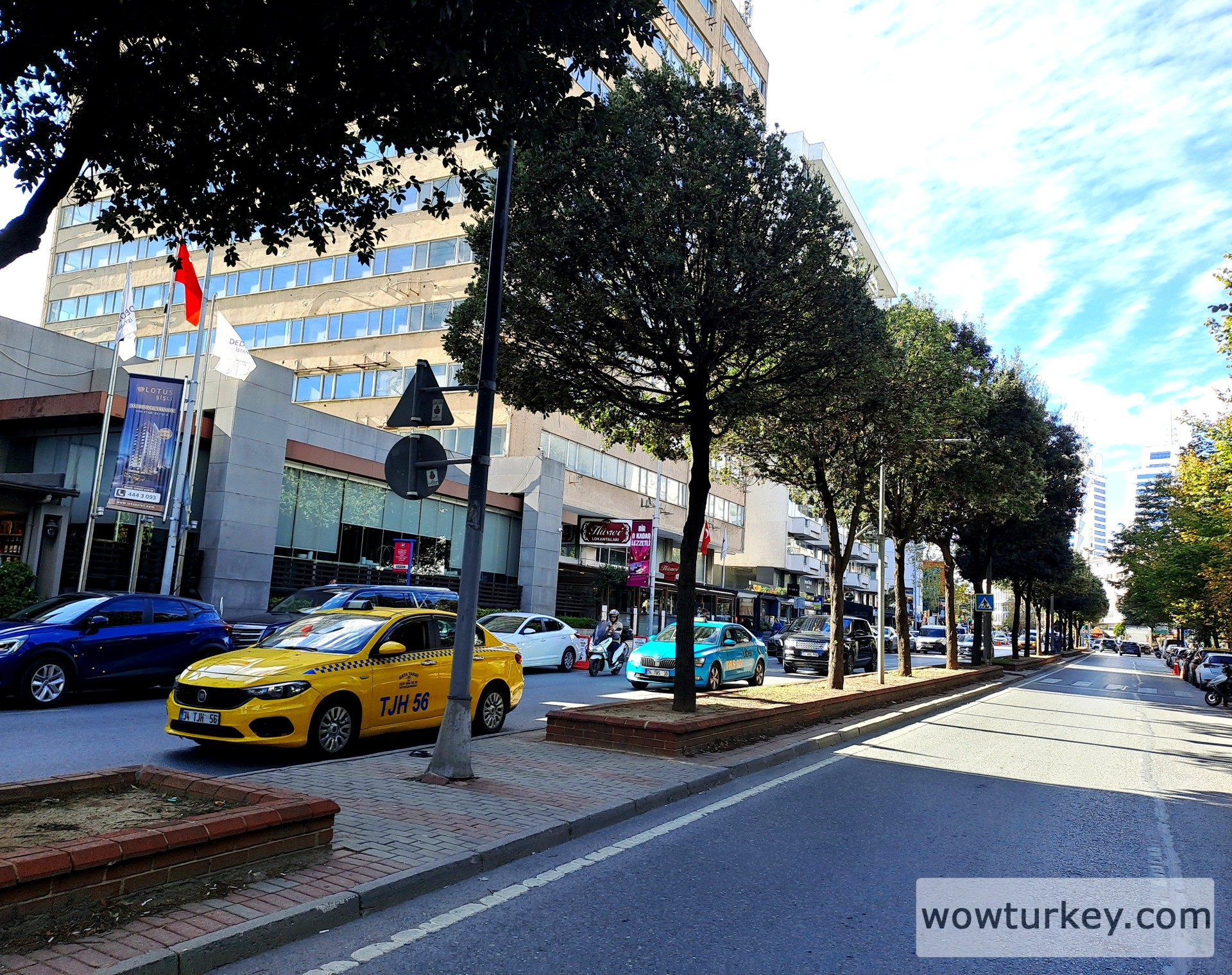 20251006_153540 (1).jpg