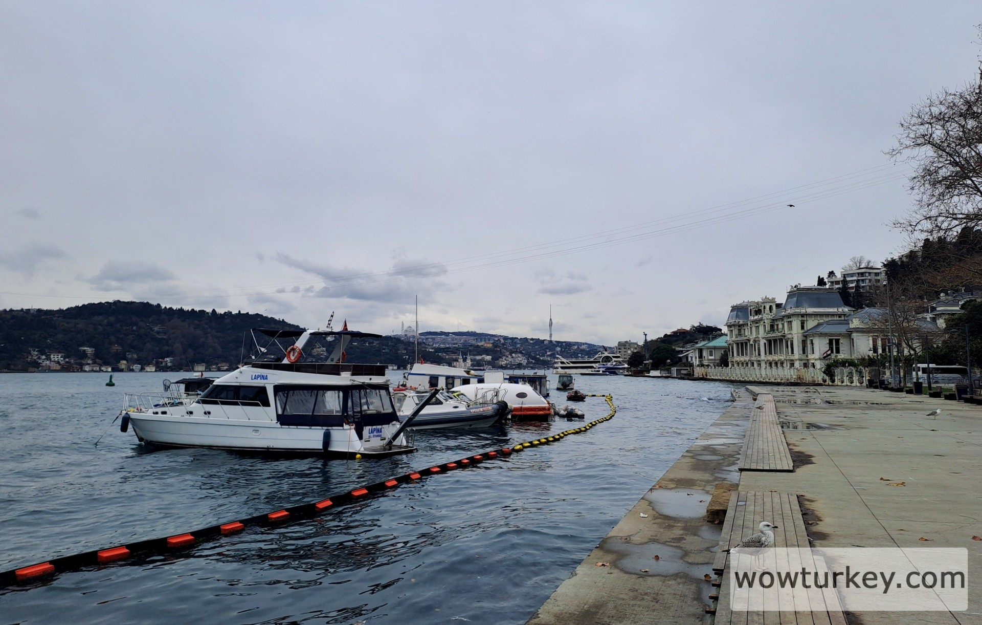 20251231_130453 (1).jpg