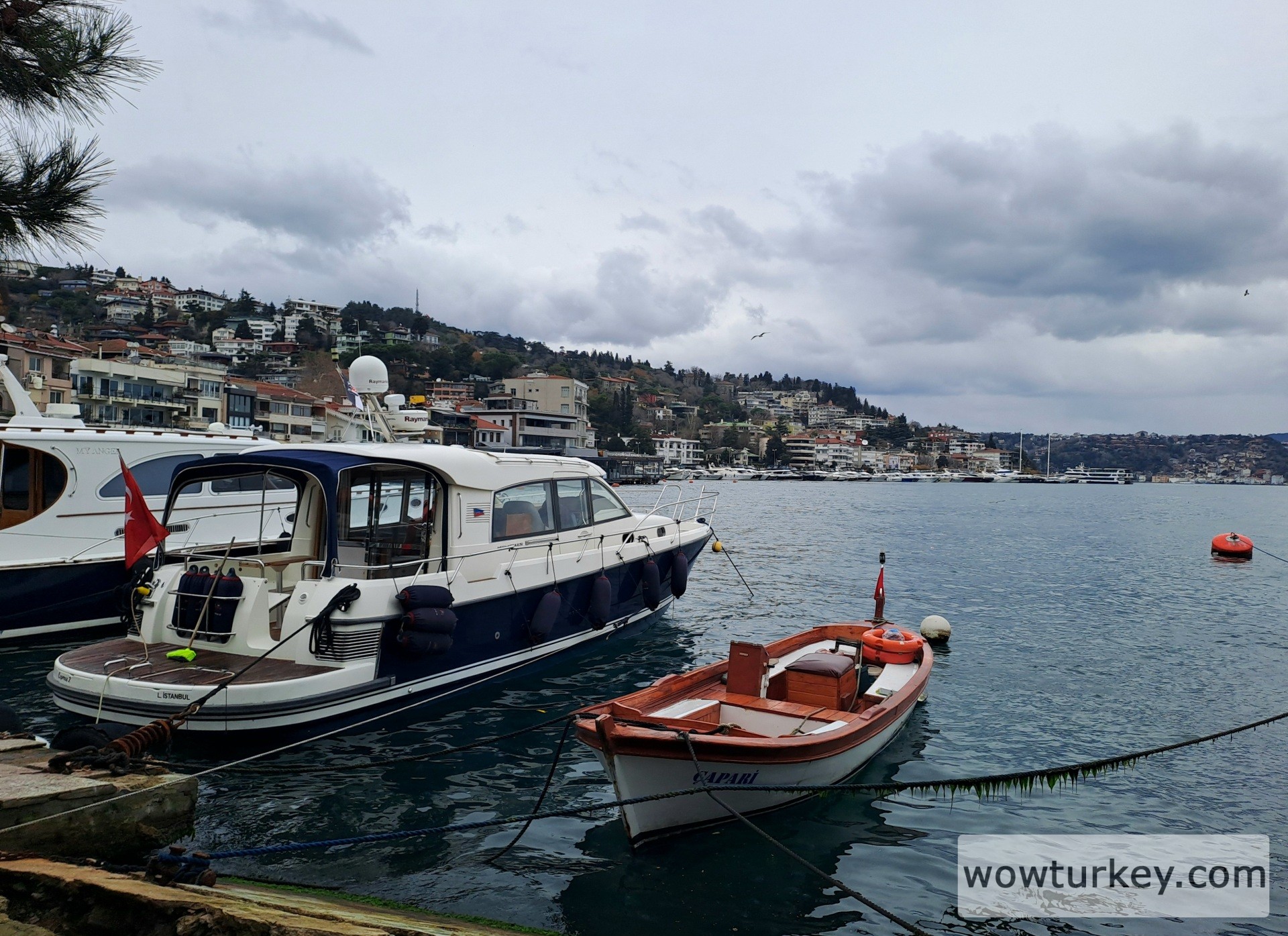 20251231_130659 (1).jpg